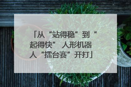 从“站得稳”到“起得快” 人形机器人“擂台赛”开打