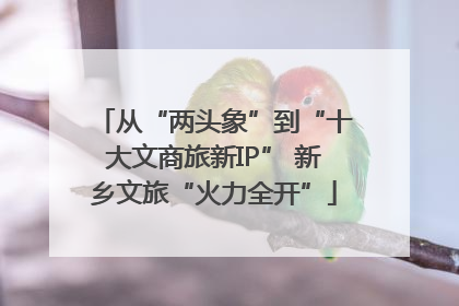 从“两头象”到“十大文商旅新IP” 新乡文旅“火力全开”