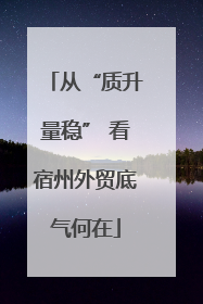从“质升量稳” 看宿州外贸底气何在
