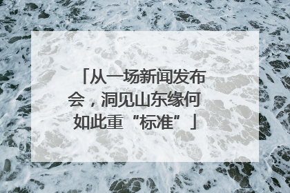 从一场新闻发布会，洞见山东缘何如此重“标准”