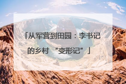 从军营到田园：李书记的乡村 “变形记”