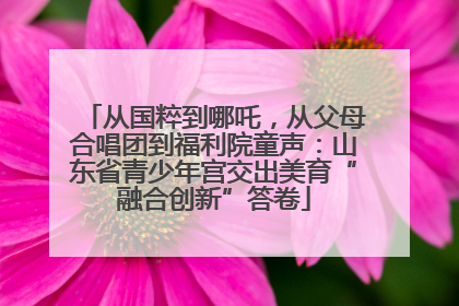 从国粹到哪吒，从父母合唱团到福利院童声：山东省青少年宫交出美育“融合创新”答卷