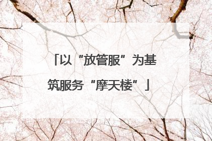 以“放管服”为基筑服务“摩天楼”