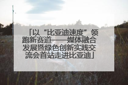 以“比亚迪速度”领跑新赛道——媒体融合发展暨绿色创新实践交流会首站走进比亚迪
