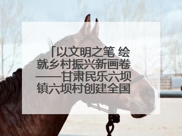 以文明之笔 绘就乡村振兴新画卷——甘肃民乐六坝镇六坝村创建全国文明村侧记