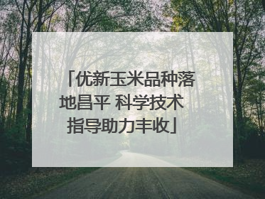 优新玉米品种落地昌平 科学技术指导助力丰收