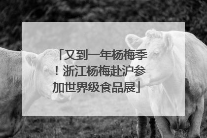 又到一年杨梅季！浙江杨梅赴沪参加世界级食品展