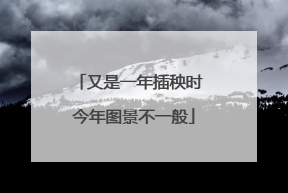 又是一年插秧时 今年图景不一般