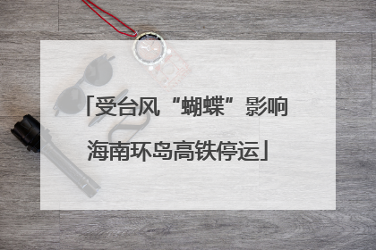 受台风“蝴蝶”影响 海南环岛高铁停运