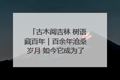 古木阅吉林 树语藏百年｜百余年沧桑岁月 如今它成为了“镇园之宝”