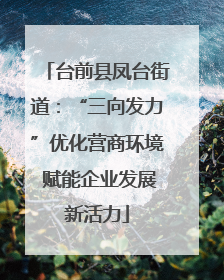 台前县凤台街道：“三向发力”优化营商环境 赋能企业发展新活力