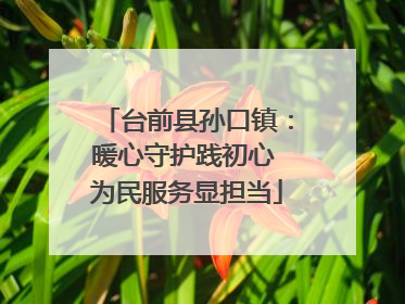 台前县孙口镇：暖心守护践初心 为民服务显担当