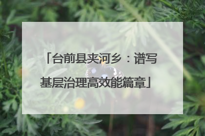 台前县夹河乡：谱写基层治理高效能篇章