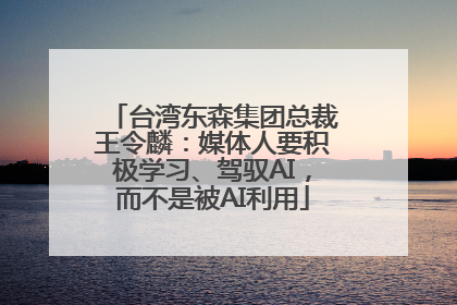 台湾东森集团总裁王令麟：媒体人要积极学习、驾驭AI，而不是被AI利用