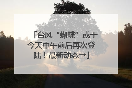 台风“蝴蝶”或于今天中午前后再次登陆！最新动态→