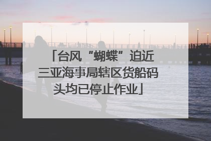 台风“蝴蝶”迫近 三亚海事局辖区货船码头均已停止作业