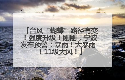 台风“蝴蝶”路径有变！强度升级！刚刚，宁波发布预警：暴雨！大暴雨！11级大风！