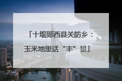十堰郧西县关防乡：玉米地里话“丰”景