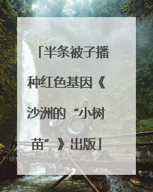 半条被子播种红色基因《沙洲的“小树苗”》出版