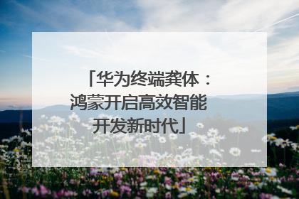 华为终端龚体：鸿蒙开启高效智能开发新时代