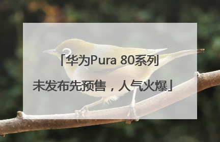 华为Pura 80系列未发布先预售，人气火爆