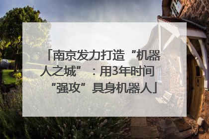 南京发力打造“机器人之城”：用3年时间“强攻”具身机器人