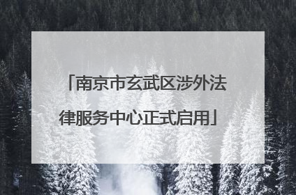 南京市玄武区涉外法律服务中心正式启用