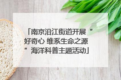 南京沿江街道开展“好奇心 维系生命之源”海洋科普主题活动