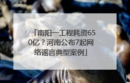 南阳一工程耗资650亿？河南公布7起网络谣言典型案例