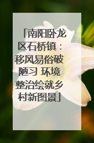 南阳卧龙区石桥镇：移风易俗破陋习 环境整治绘就乡村新图景