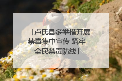 卢氏县多举措开展禁毒集中宣传 筑牢全民禁毒防线