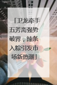 卫龙牵手五芳斋强势破界，辣条入粽引发市场新热潮