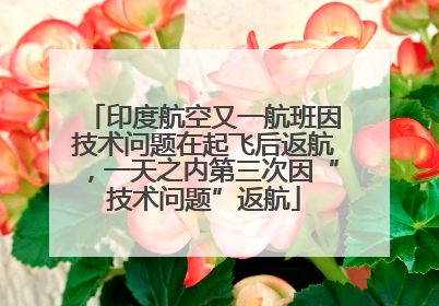 印度航空又一航班因技术问题在起飞后返航，一天之内第三次因“技术问题”返航