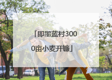 即墨蓝村3000亩小麦开镰