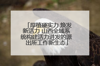 厚植硬实力 焕发新活力 山西全域系统构建活力迸发的派出所工作新生态