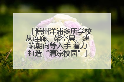 儋州洋浦多所学校从连廊、架空层、建筑朝向等入手 着力打造“清凉校园”