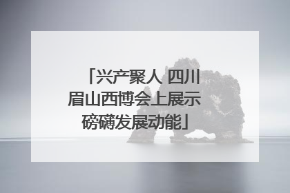 兴产聚人 四川眉山西博会上展示磅礴发展动能