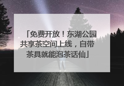 免费开放！东湖公园共享茶空间上线，自带茶具就能泡茶话仙
