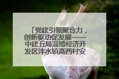 党建引领聚合力，创新驱动促发展——中建五局淄博经济开发区沣水镇高西村安置项目建设纪实
