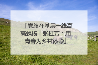 党旗在基层一线高高飘扬丨张桂芳：用青春为乡村添彩