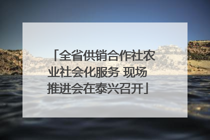 全省供销合作社农业社会化服务 现场推进会在泰兴召开