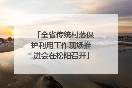 全省传统村落保护利用工作现场推进会在松阳召开