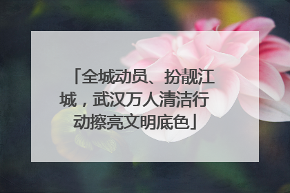 全城动员、扮靓江城，武汉万人清洁行动擦亮文明底色