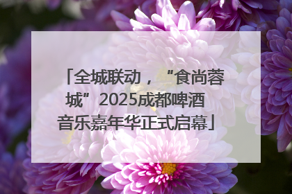 全城联动，“食尚蓉城”2025成都啤酒音乐嘉年华正式启幕