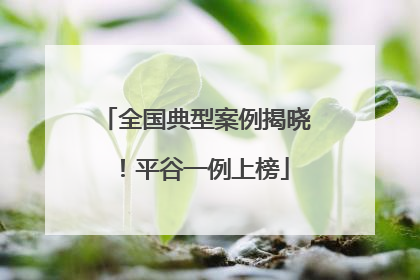 全国典型案例揭晓！平谷一例上榜