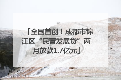 全国首创！成都市锦江区“民营发展贷”两月放款1.7亿元