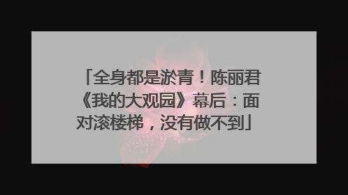 全身都是淤青！陈丽君《我的大观园》幕后：面对滚楼梯，没有做不到