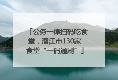 公务一律扫码吃食堂，潜江市130家食堂“一码通刷”