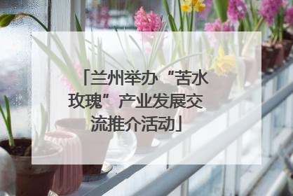 兰州举办“苦水玫瑰”产业发展交流推介活动