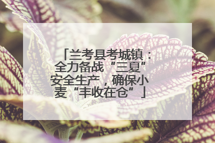 兰考县考城镇：全力备战“三夏”安全生产，确保小麦“丰收在仓”